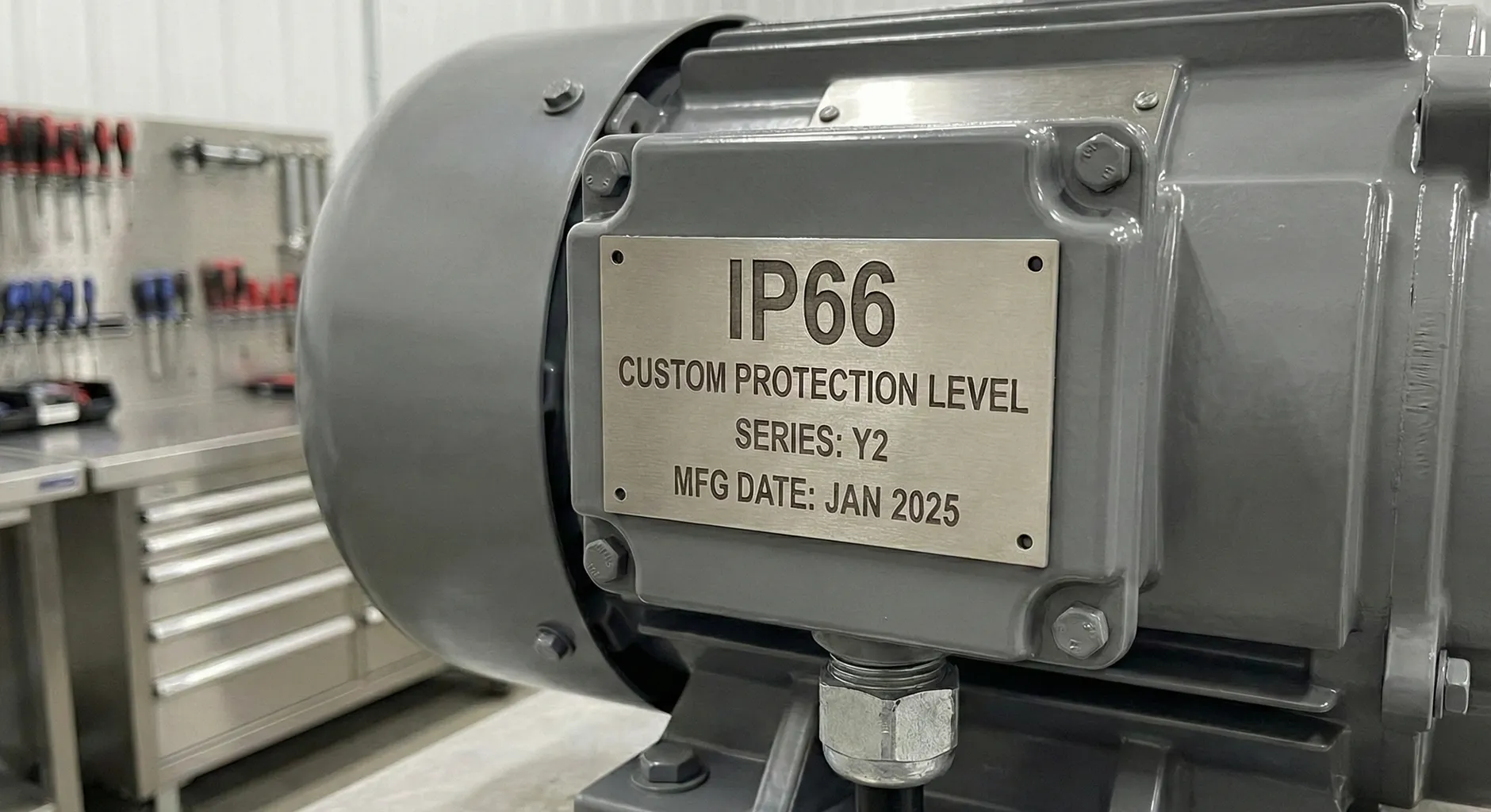 Motor with custom IP protection nameplate