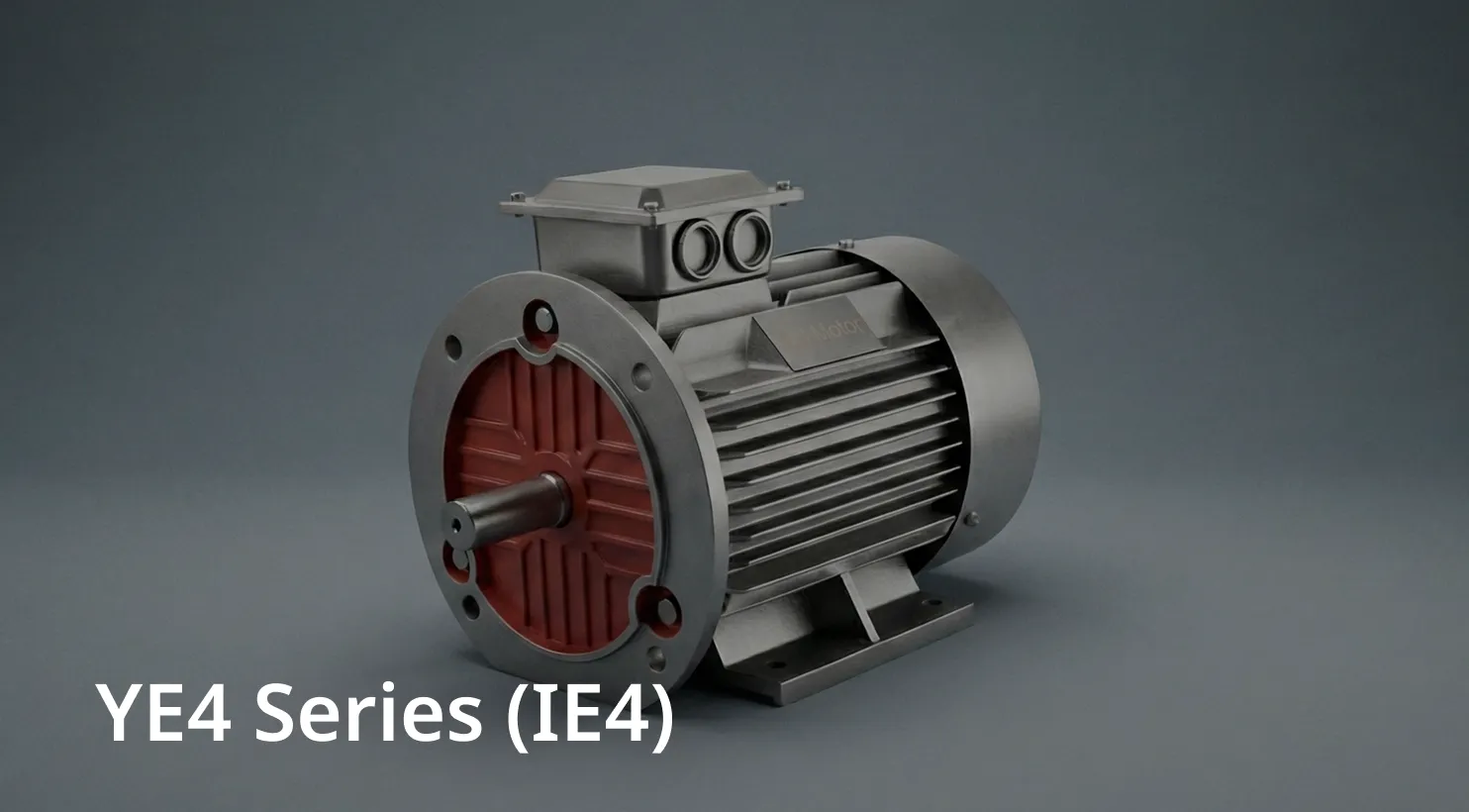 YE4 Series (IE4)